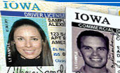 Iowa driver's license