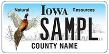 Natural Resources Pheasant License Plate