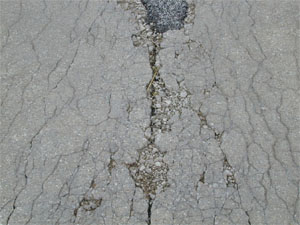 Close-up photo of a transverse joint with high-severity D-cracking.  The photo shows D-cracking at a good distance away from joint, and many of the cracks within the D-cracking pattern are spalled.