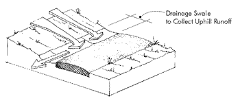 diagram depicting trail width drainage swale