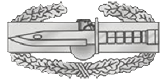 Combat Action Badge, Army