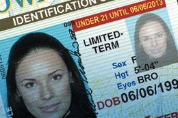 Driver's license or identificaton card