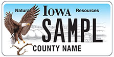 Natural Resources Eagle License Plate