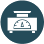 Weigh Station icon