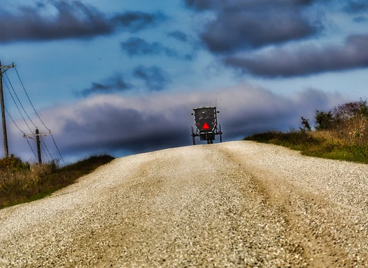 Amish wagon on gravel road - Vintage, Scott Hoag - Winner