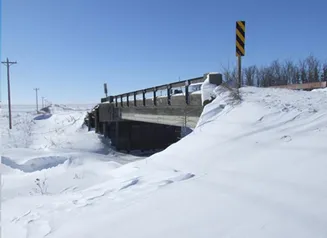 Jade Avenue Bridge: Howard County