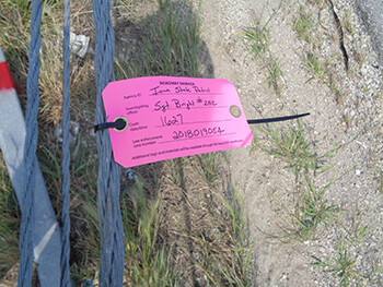 Pink crash tag