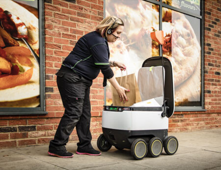 Personal Delivery device