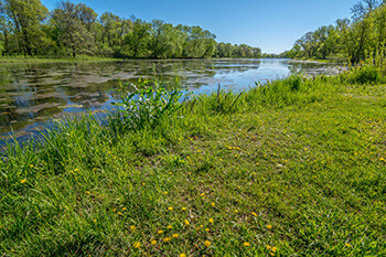Marsh in Iowa