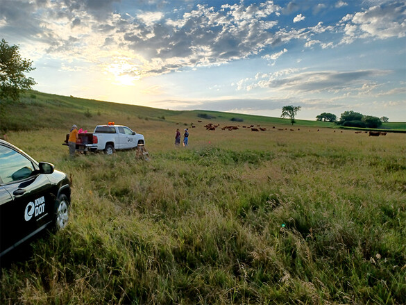 South of Iowa Highway 31 near Silver Creek