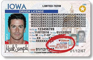 Driver's License with Organ Donor, Medical Alert Indicator, Autism Spectrum Disorder Indicator, Medical Advance Directive, and the Deaf or Hard of Hearing Indicator