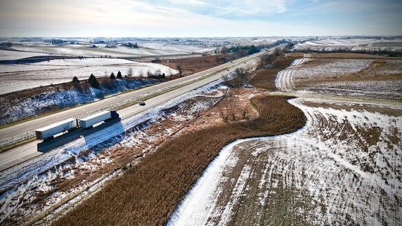 Standing corn along interstate