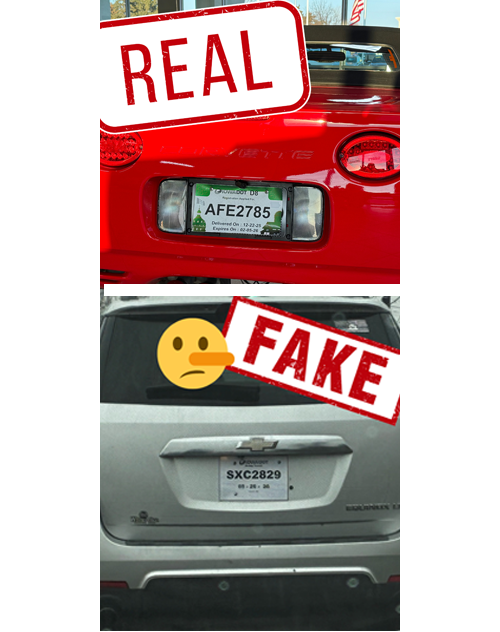 Sample temp tags showing the difference between real and fake.