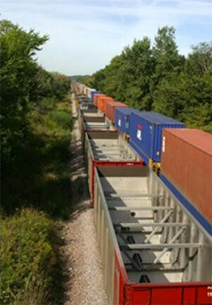 Freight train with shipping containers on a tree-lined track
