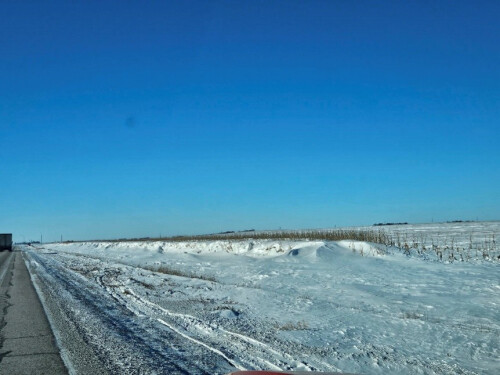 snow collected in a corn snow fence by the side of a road