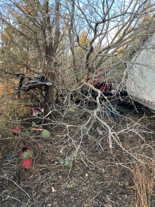 debris from a semi crash in branches of a tree