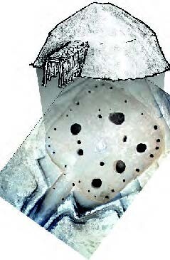 rendering of the earth lodge over the floor plan