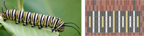 on the left is a photo of a monarch caterpillar, and on the right is a rendering of the binary code in colored bricks
