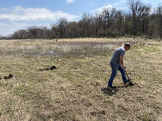 A person planting a sapling in a wetland
