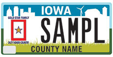 Gold Star Plate