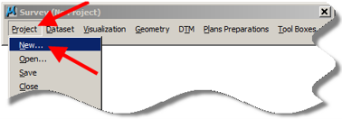 Survey toolbar with Project menu open and New option highlighted.