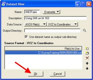 Dataset New dialog with OK button highlighted.