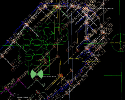 Zoomed-in survey drawing showing dense control point and level information.