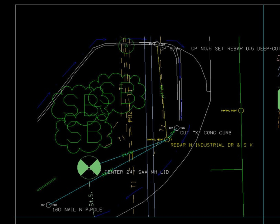 Control‑point area showing dense survey information before cleanup.