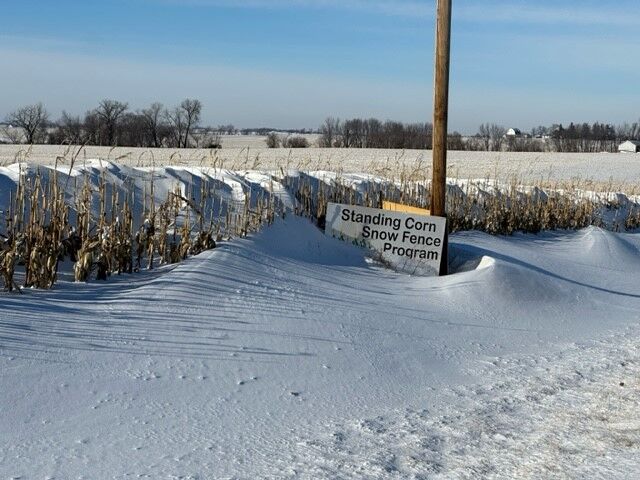Snow drifts in a ditch with rows of standing corn and a sign reading "Standing Corn Snow Fence Program"